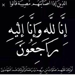 Meet your Posher, Ali